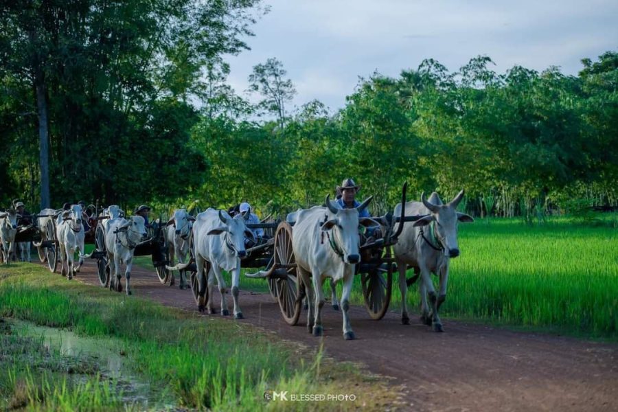 A Day of Discovery at Rural Village