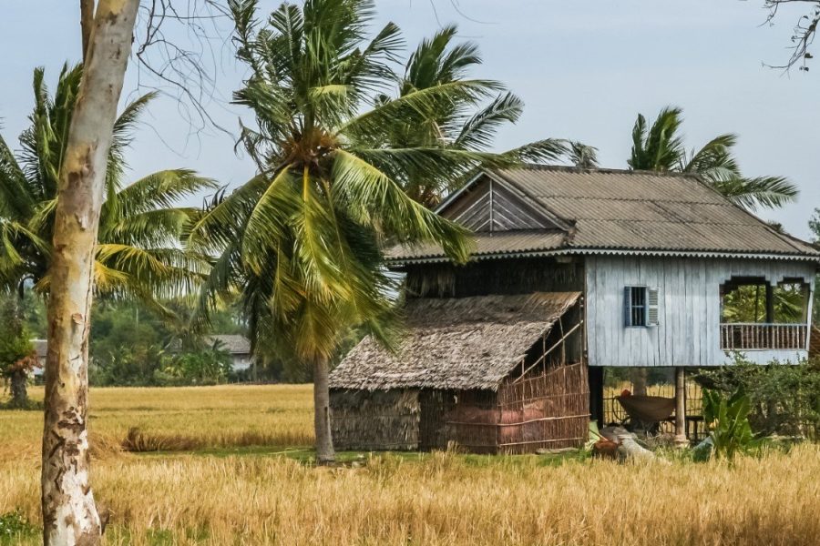 A 10-Day Adventure Through Cambodia