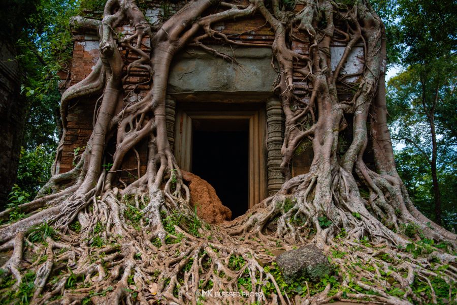 A Lost Capital Revealed – KOH KER & BENG MEALEA TEMPLE