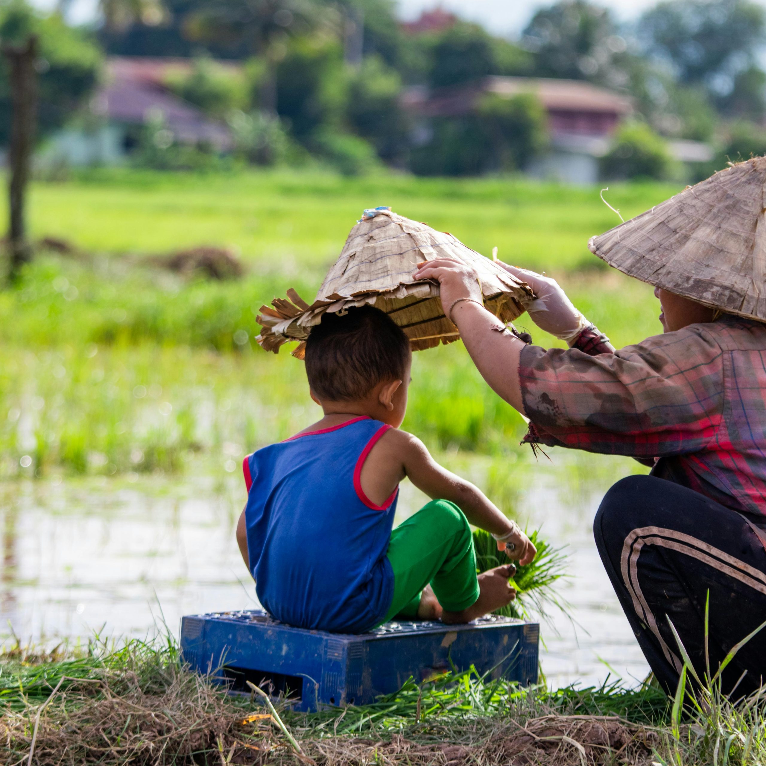 Day 3: Vientiane – Xiengkhouang (Flight)