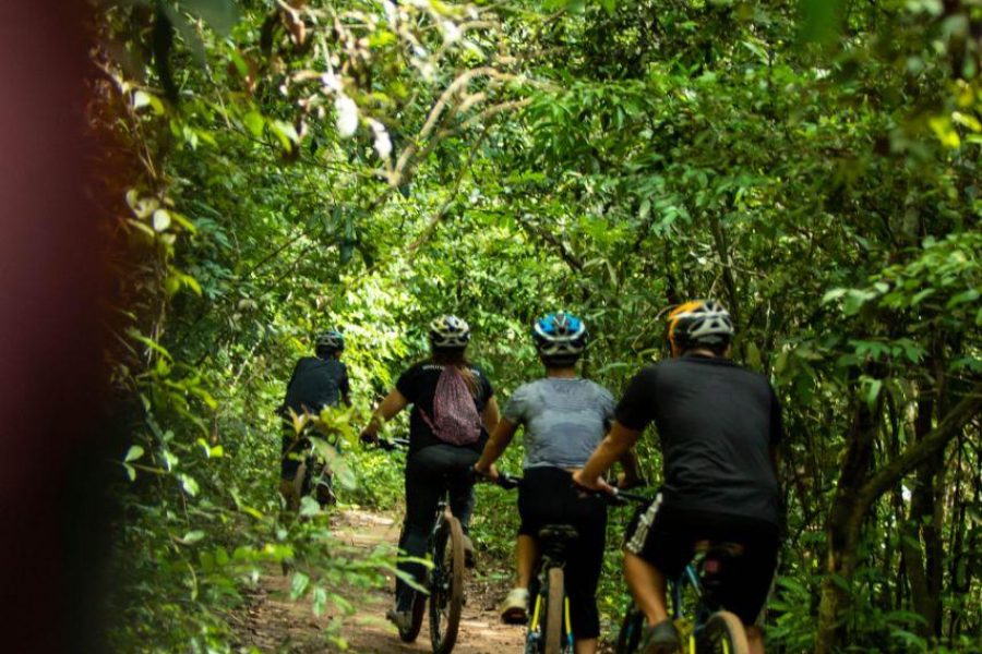 Cycling Adventure: Unveiling Siem Reap’s Organic Bounty