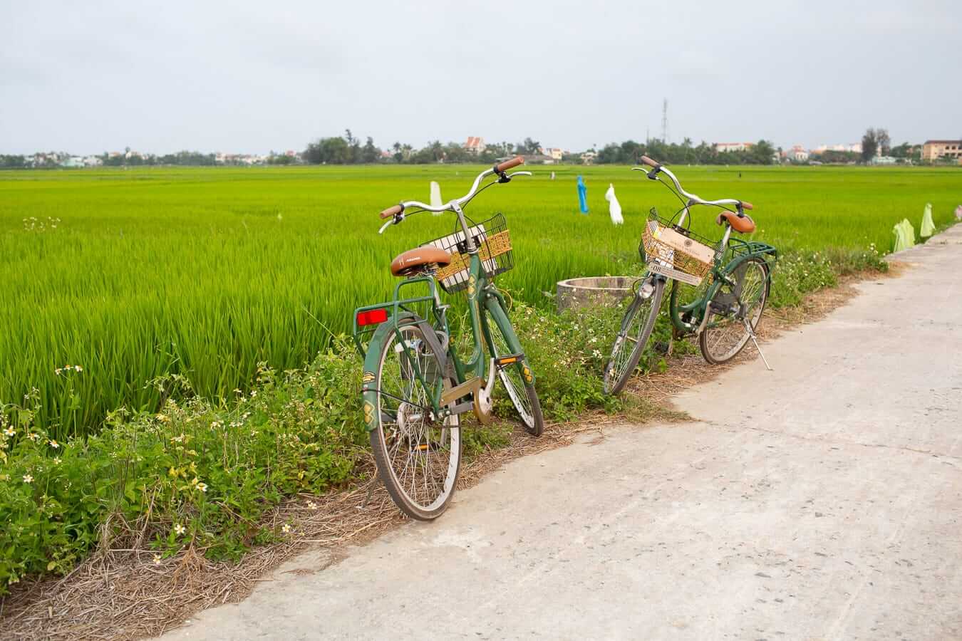 Day 7: Tra Que Biking and Cooking Class – Wood Carving Workshop